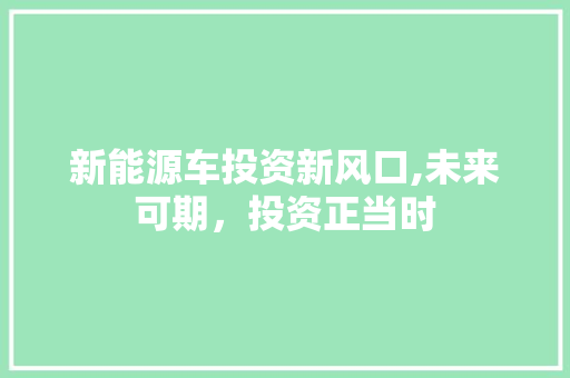 新能源车投资新风口,未来可期，投资正当时  第1张