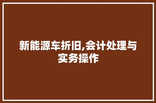 新能源车折旧,会计处理与实务操作  第1张