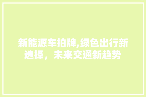 新能源车拍牌,绿色出行新选择，未来交通新趋势  第1张