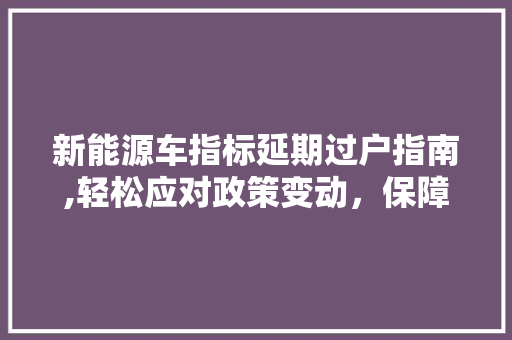 新能源车指标延期过户指南,轻松应对政策变动，保障您的合法权益  第1张