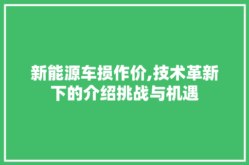 新能源车损作价,技术革新下的介绍挑战与机遇  第1张