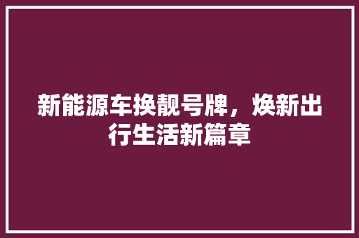 新能源车换靓号牌，焕新出行生活新篇章