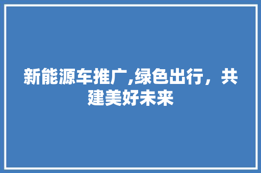 新能源车推广,绿色出行，共建美好未来  第1张