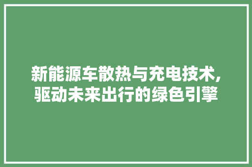 新能源车散热与充电技术,驱动未来出行的绿色引擎