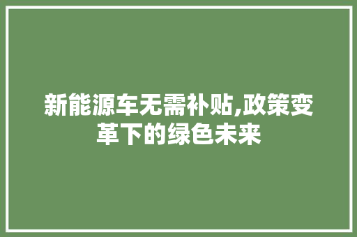 新能源车无需补贴,政策变革下的绿色未来  第1张