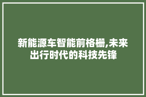 新能源车智能前格栅,未来出行时代的科技先锋