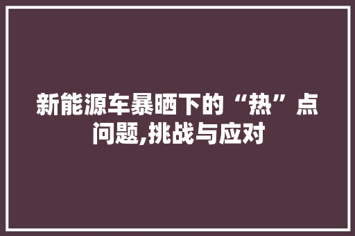 新能源车暴晒下的“热”点问题,挑战与应对  第1张