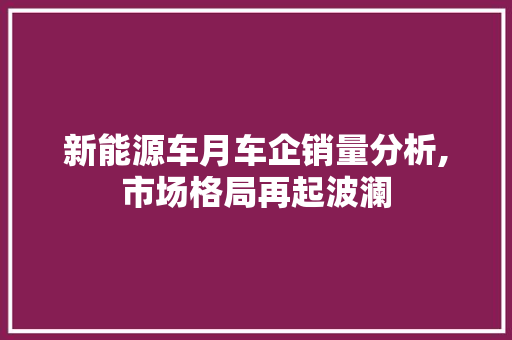 新能源车月车企销量分析,市场格局再起波澜  第1张