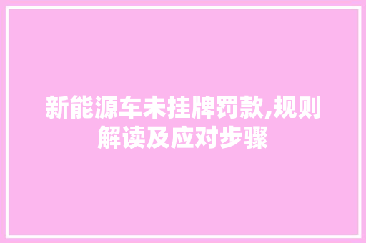 新能源车未挂牌罚款,规则解读及应对步骤