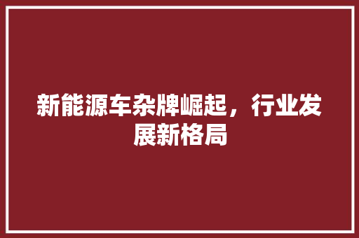 新能源车杂牌崛起，行业发展新格局  第1张