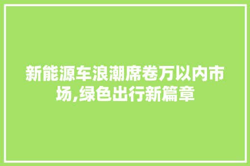 新能源车浪潮席卷万以内市场,绿色出行新篇章  第1张