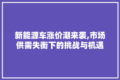 新能源车涨价潮来袭,市场供需失衡下的挑战与机遇  第1张