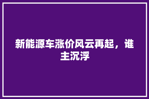 新能源车涨价风云再起，谁主沉浮  第1张