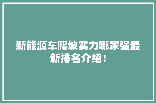 新能源车爬坡实力哪家强最新排名介绍！  第1张