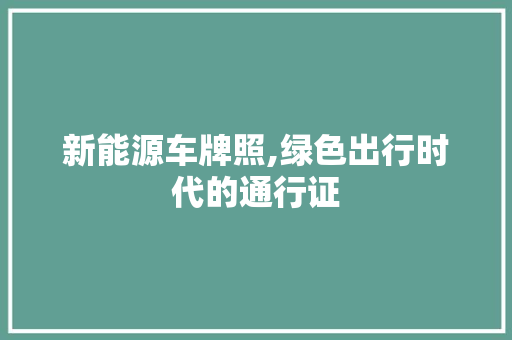 新能源车牌照,绿色出行时代的通行证  第1张