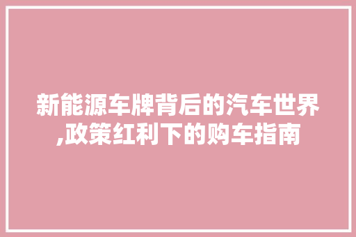 新能源车牌背后的汽车世界,政策红利下的购车指南  第1张