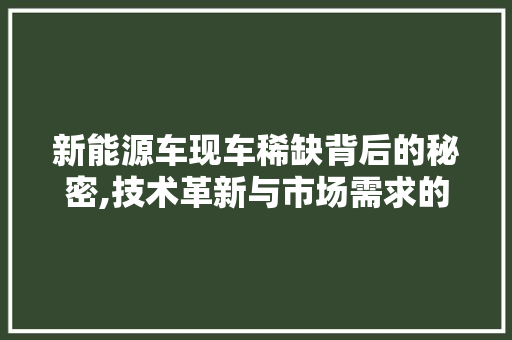 新能源车现车稀缺背后的秘密,技术革新与市场需求的完美碰撞  第1张