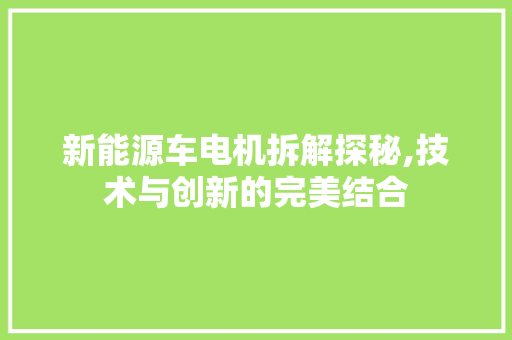 新能源车电机拆解探秘,技术与创新的完美结合  第1张