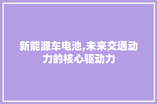 新能源车电池,未来交通动力的核心驱动力  第1张