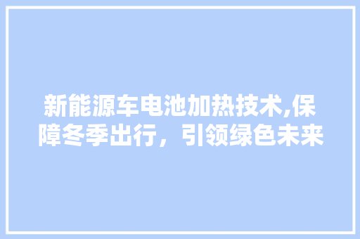 新能源车电池加热技术,保障冬季出行，引领绿色未来  第1张