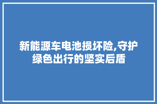 新能源车电池损坏险,守护绿色出行的坚实后盾