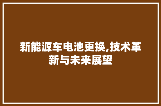 新能源车电池更换,技术革新与未来展望