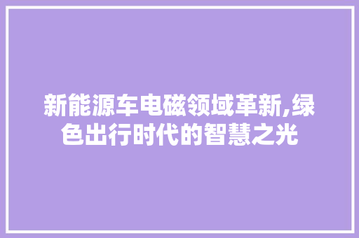 新能源车电磁领域革新,绿色出行时代的智慧之光  第1张