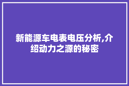 新能源车电表电压分析,介绍动力之源的秘密