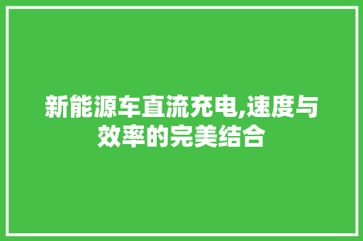 新能源车直流充电,速度与效率的完美结合  第1张