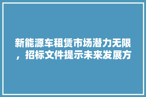 新能源车租赁市场潜力无限，招标文件提示未来发展方向  第1张