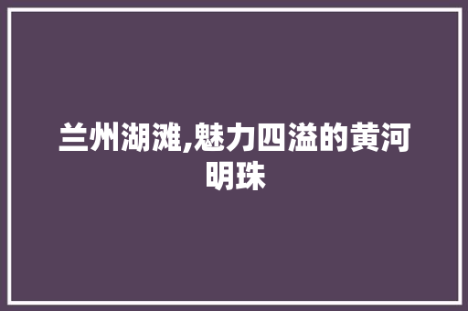 兰州湖滩,魅力四溢的黄河明珠