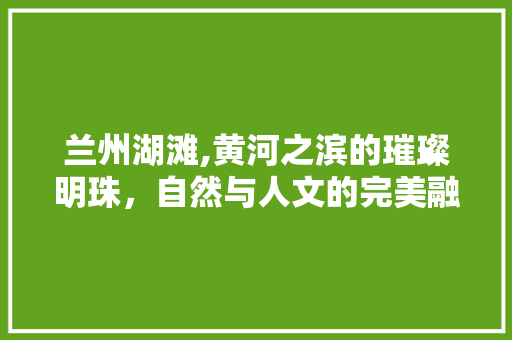 兰州湖滩,黄河之滨的璀璨明珠，自然与人文的完美融合