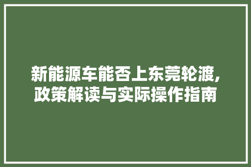 新能源车能否上东莞轮渡,政策解读与实际操作指南