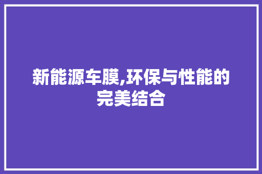 新能源车膜,环保与性能的完美结合