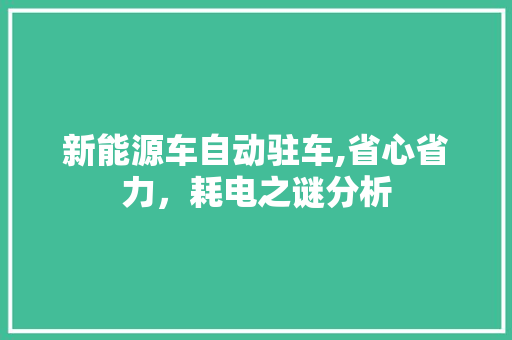 新能源车自动驻车,省心省力，耗电之谜分析