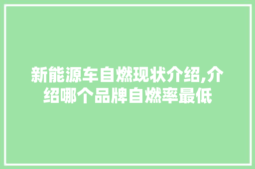 新能源车自燃现状介绍,介绍哪个品牌自燃率最低  第1张