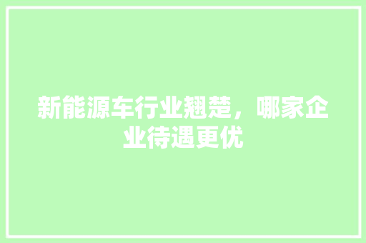 新能源车行业翘楚，哪家企业待遇更优  第1张