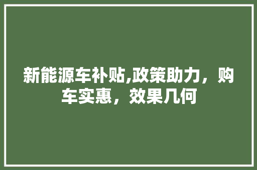 新能源车补贴,政策助力，购车实惠，效果几何  第1张