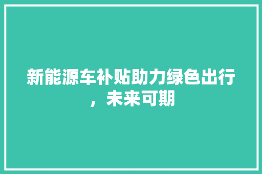 新能源车补贴助力绿色出行，未来可期  第1张