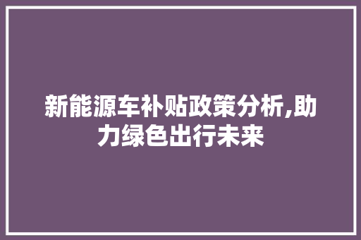 新能源车补贴政策分析,助力绿色出行未来  第1张