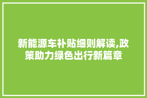 新能源车补贴细则解读,政策助力绿色出行新篇章  第1张