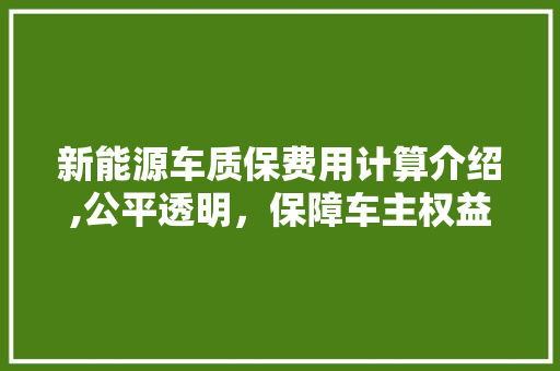 新能源车质保费用计算介绍,公平透明，保障车主权益  第1张