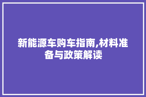 新能源车购车指南,材料准备与政策解读