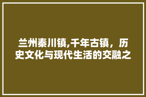 兰州秦川镇,千年古镇，历史文化与现代生活的交融之地