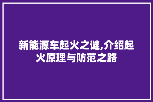 新能源车起火之谜,介绍起火原理与防范之路