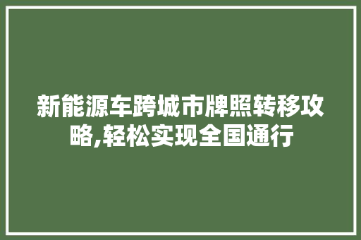 新能源车跨城市牌照转移攻略,轻松实现全国通行