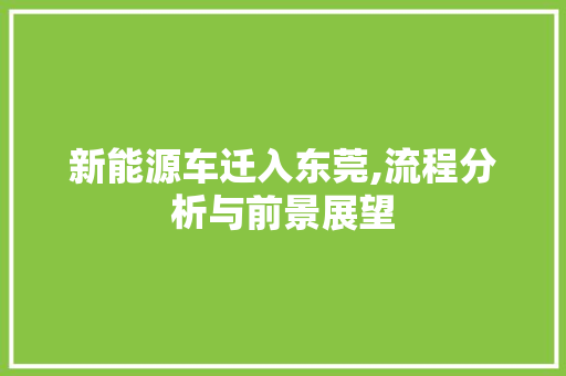 新能源车迁入东莞,流程分析与前景展望  第1张