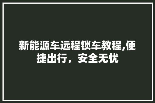 新能源车远程锁车教程,便捷出行，安全无忧