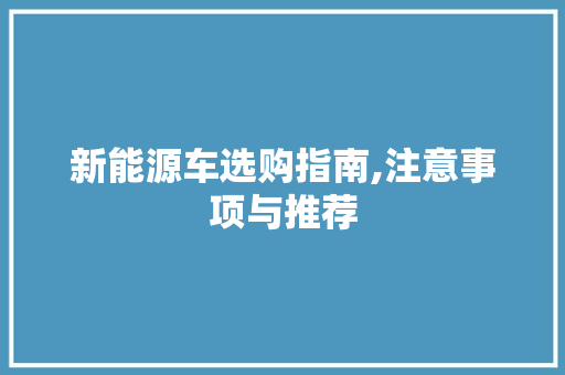 新能源车选购指南,注意事项与推荐  第1张