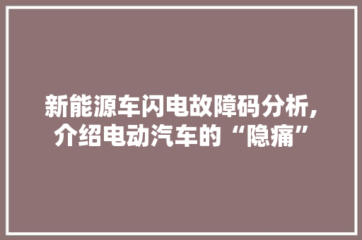 新能源车闪电故障码分析,介绍电动汽车的“隐痛”  第1张